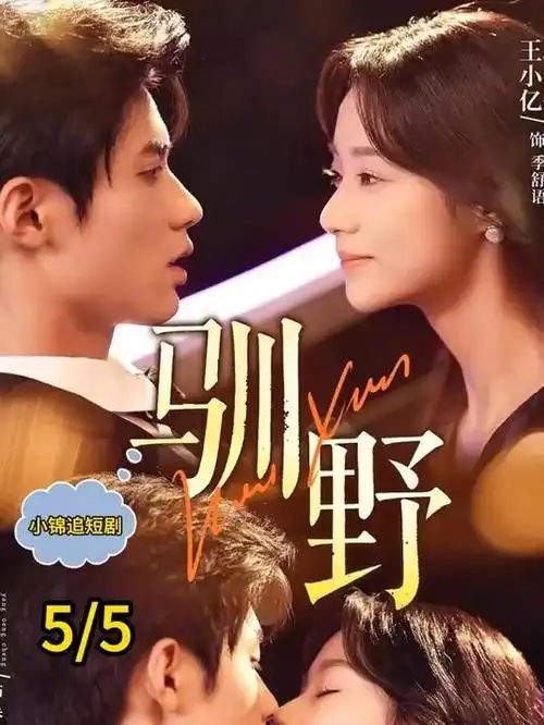 在线观看大片韩剧 王座之影 海报